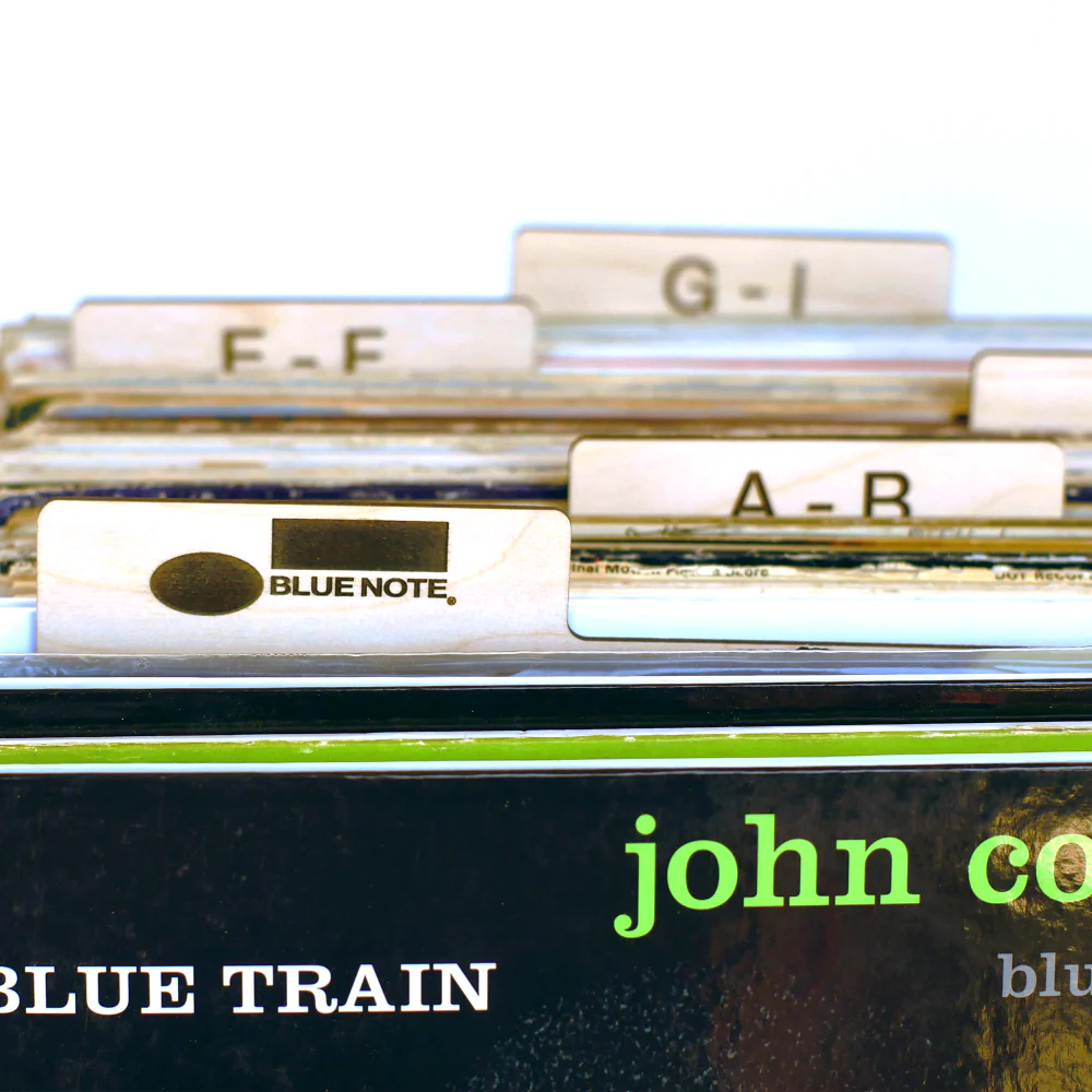 Vinyl Dividers - Image 4