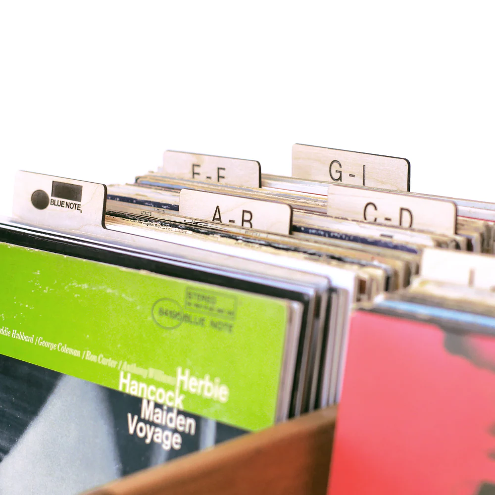 Vinyl Dividers - Image 5